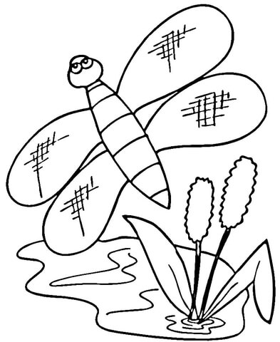 Cattails And Dragonfly Coloring Page